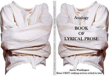 Analogy BOOK OF LYRICAL PROSE